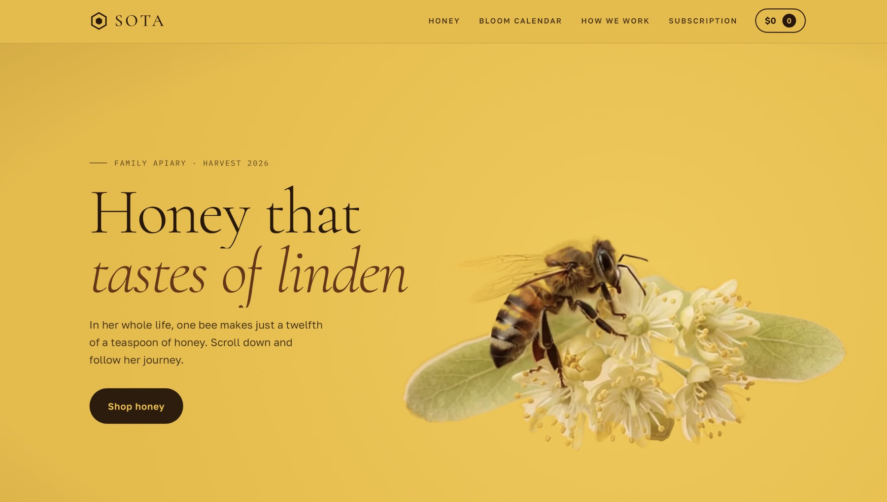 SOTA — website home page